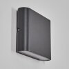Gamas Lampada da parete per esterno, Illuminazione bagno, Lampade Up & Down, Applique LED Antracite, 1-Luce