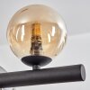 Chehalis Lampadario a sospensione, Lampada a sfera, Lampada a sospensione Ambrato, Grigio fumo, 10-Luci