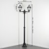 Fornelos Illuminazione esterna, Lampione multibraccia, Illuminazione viale Nero, 2-Luci