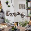 Chehalis Lampadario a sospensione, Lampada a sfera, Lampada a sospensione Cromo, Chiaro, Grigio fumo, 8-Luci