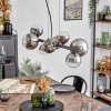 Chehalis Lampadario a sospensione, Lampada a sfera, Lampada a sospensione Cromo, Chiaro, Grigio fumo, 8-Luci