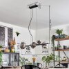 Chehalis Lampadario a sospensione, Lampada a sfera, Lampada a sospensione Cromo, Chiaro, Grigio fumo, 8-Luci