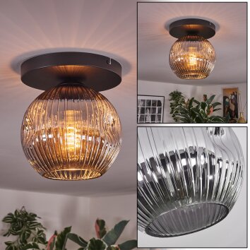 Ripoll Plafoniera, Lampada a sfera Grigio fumo, 1-Luce Ripoll Plafoniera, Lampada a sfera Grigio fumo, 1-Luce