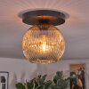 Ripoll Plafoniera, Lampada a sfera Ambrato, Chiaro, 1-Luce