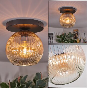Ripoll Plafoniera, Lampada a sfera Ambrato, Chiaro, 1-Luce