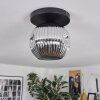 Ripoll Plafoniera, Lampada a sfera Cromo, Grigio fumo, 1-Luce