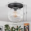 Ripoll Plafoniera, Lampada a sfera Chiaro, 1-Luce