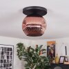 Ripoll Plafoniera, Lampada a sfera Ramato, 1-Luce