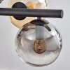 Gastor Lampadario a sospensione, Lampada a sfera, Lampada a sospensione Ambrato, Chiaro, Grigio fumo, 8-Luci