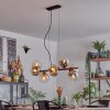 Gastor Lampadario a sospensione, Lampada a sfera, Lampada a sospensione Ambrato, Chiaro, Grigio fumo, 8-Luci