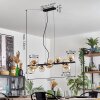 Chehalis Lampadario a sospensione, Lampada a sfera, Lampada a sospensione Ambrato, Chiaro, 10-Luci