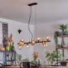 Chehalis Lampadario a sospensione, Lampada a sfera, Lampada a sospensione Ambrato, Chiaro, 10-Luci