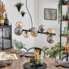 Chehalis Lampadario a sospensione, Lampada a sfera, Lampada a sospensione Ambrato, Grigio fumo, 8-Luci