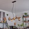 Chehalis Lampadario a sospensione, Lampada a sfera, Lampada a sospensione Ambrato, Grigio fumo, 8-Luci