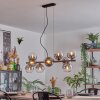 Gastor Lampadario a sospensione, Lampada a sfera, Lampada a sospensione Chiaro, Grigio fumo, 10-Luci
