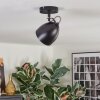 Bjedstrup Plafoniera, Faretto da soffitto, Faretto da parete Nero, 1-Luce