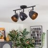 Bjedstrup Plafoniera, Faretto da soffitto Nero, 3-Luci