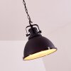 Jonsered Lampadario a sospensione Nero, 1-Luce