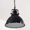 Jonsered Lampadario a sospensione Nero, 1-Luce