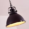 Jonsered Lampadario a sospensione Nero, 1-Luce