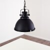 Jonsered Lampadario a sospensione Nero, 1-Luce