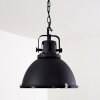 Jonsered Lampadario a sospensione Nero, 1-Luce