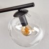 Gastor Plafoniera, Lampada a sfera Ambrato, Chiaro, Grigio fumo, 4-Luci