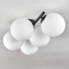 Gastor Plafoniera, Lampada a sfera Bianco, 5-Luci