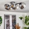 Gastor Plafoniera, Lampada a sfera Chiaro, Grigio fumo, 5-Luci