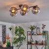 Gastor Plafoniera, Lampada a sfera Chiaro, Grigio fumo, 5-Luci