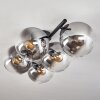Gastor Plafoniera, Lampada a sfera Chiaro, Grigio fumo, 5-Luci