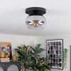 Apedo Plafoniera, Lampada a sfera Chiaro, Grigio fumo, 1-Luce