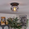Apedo Plafoniera, Lampada a sfera Chiaro, Grigio fumo, 1-Luce