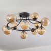 Chehalis Plafoniera, Lampada a sfera Ambrato, 12-Luci