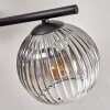 Koyoto Plafoniera, Lampada a sfera Chiaro, Grigio fumo, 4-Luci