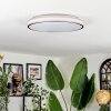 Anora Plafoniera LED Ramato, Bianco, 1-Luce