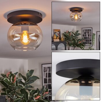 Apedo Plafoniera, Lampada a sfera Ambrato, Chiaro, 1-Luce