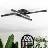 Arlan Plafoniera LED Nero, 1-Luce