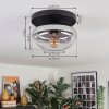 Mertola Plafoniera, Lampada a sfera Chiaro, Grigio fumo, 1-Luce Mertola Plafoniera, Lampada a sfera Chiaro, Grigio fumo, 1-Luce