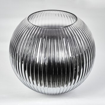 Pralume di vetro  Koyoto Vetro di ricambio, pezzo di ricambio 30 cm Chiaro, Grigio fumo