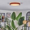 Sofo Plafoniera, Panel LED Bianco, 1-Luce