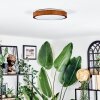 Sofo Plafoniera, Panel LED Bianco, 1-Luce