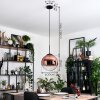 Gastor Lampadario a sospensione, Lampada a sfera, Lampada a sospensione 30 cm Chiaro, Ramato, 1-Luce