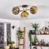 Koyoto Plafoniera, Lampada a sfera 30 cm Oro, Nero, 3-Luci