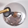 Gastor Plafoniera, Lampada a sfera 42 cm Oro, Nero, 3-Luci