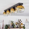 Koyoto  Lampadario a sospensione Vetro 15 cm Oro, Chiaro, 4-Luci