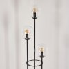 Gastor Lampada da terra 30 cm Legno chiaro, Nero, 3-Luci