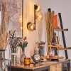Chehalis Lampada a sfera, Applique Ambrato, 3-Luci