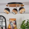 Haldor Plafoniera, Faretto da soffitto Marrone, Cromo, Nero, 3-Luci