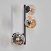 Chehalis Lampada a sfera, Applique Ambrato, Chiaro, 3-Luci